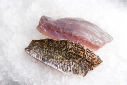 Barramundi Fillets (Fresh)