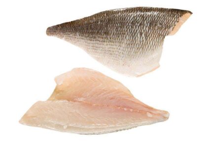 Dorade Fillets (Fresh)