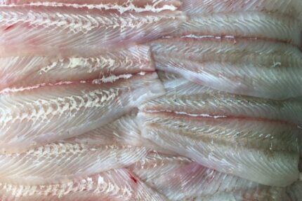 Fluke Fillets (Fresh)