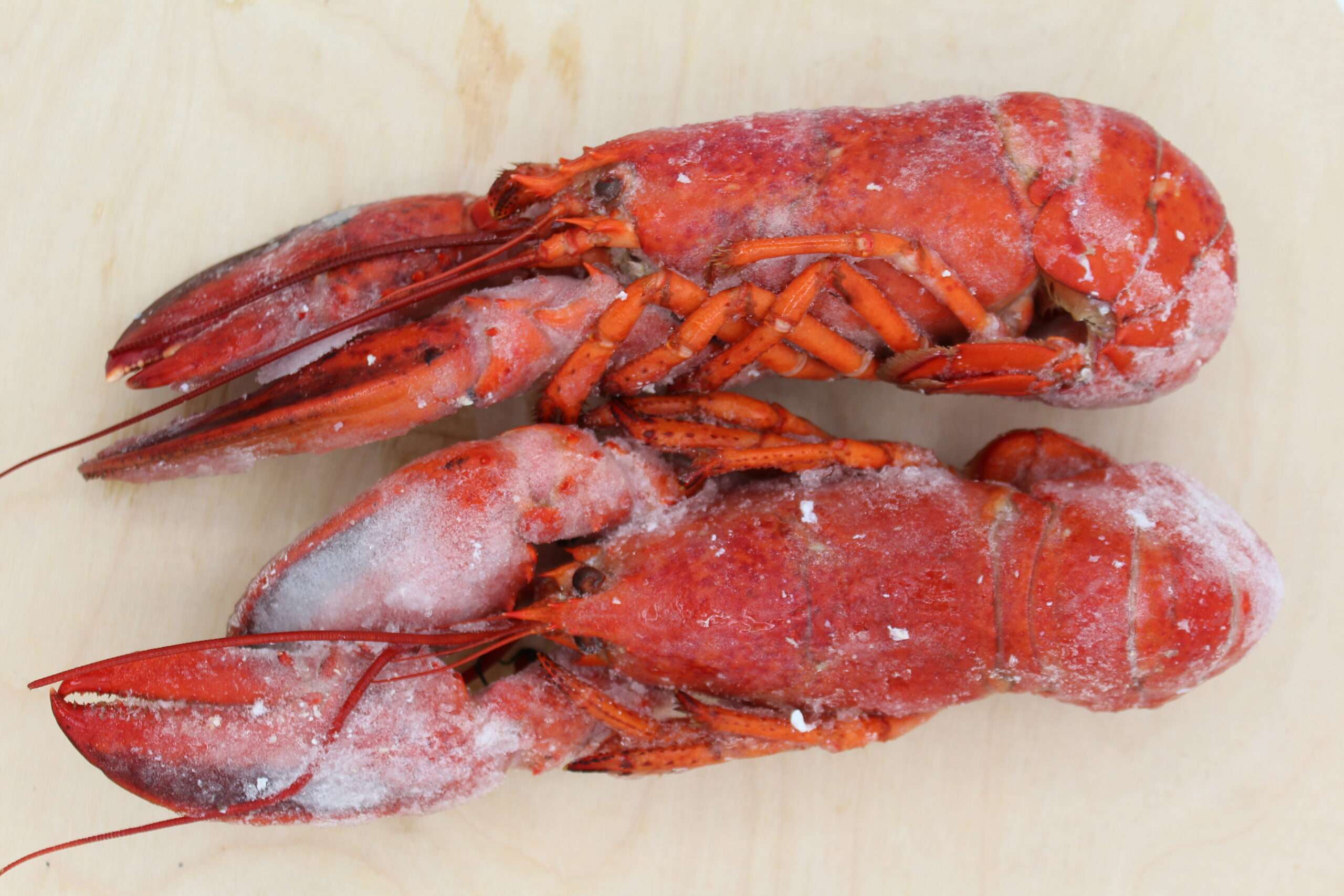 Whole Lobster (Frozen)