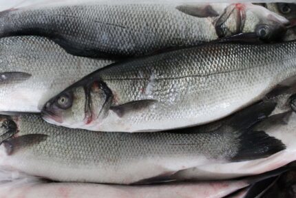 Branzino Fillets (Fresh)