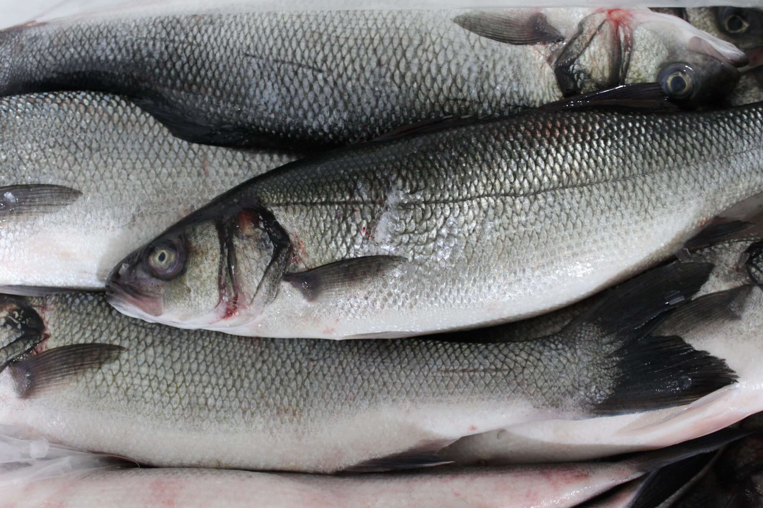 Whole Branzino