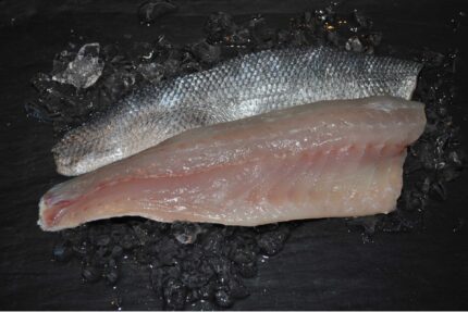 Farm Raised Striped Bass – Fillets (Fresh)