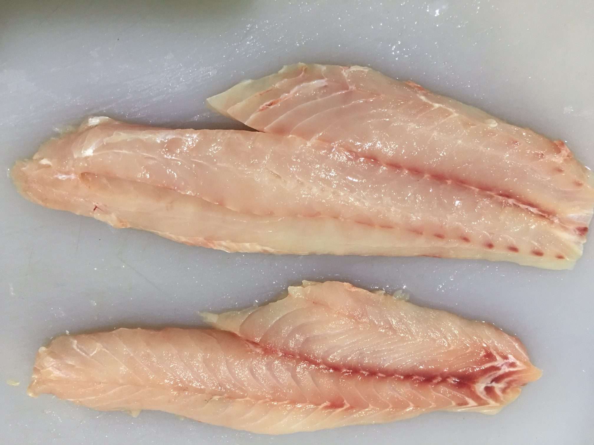 Fresh Red Grouper Fillets (~ .75 Lbs.)
