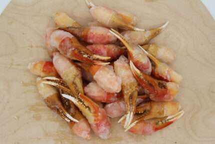 Snow Crab Claws