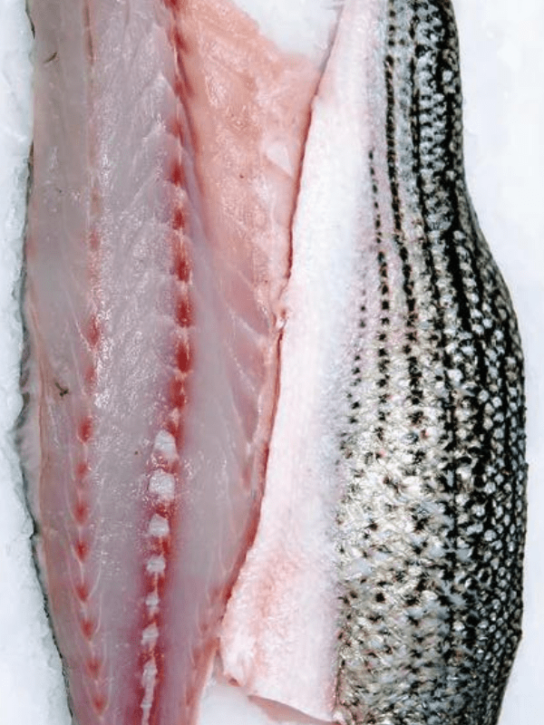 Striped Bass Fillet - Hopkins Seafood