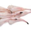 Monkfish Fillets