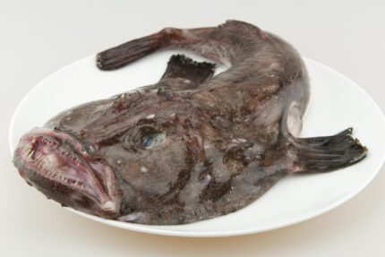 Monkfish – Whole Fish (Fresh)