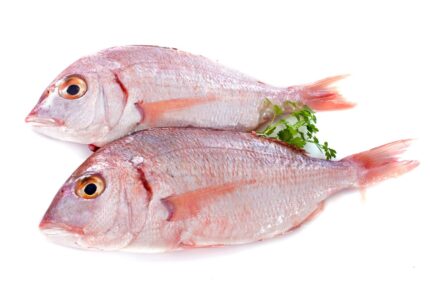 Silk Snapper – Whole Fish (Fresh)