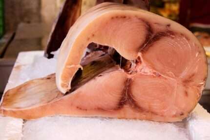 Swordfish – Whole Fish (Fresh)