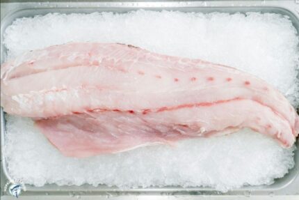 Frozen Corvina Fillets (6-8 Oz.) – 10 Lbs. Case