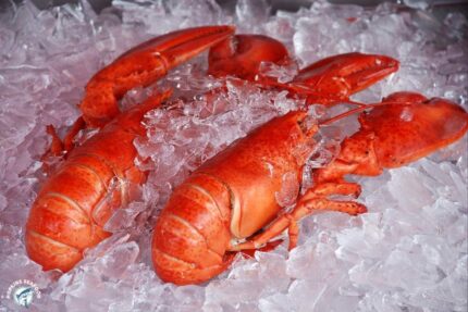 Frozen 14-16 Oz. Whole Lobster – Cooked – 10 Lbs. Case