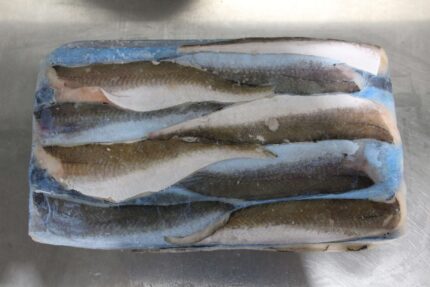 Frozen Whiting Fillets – Skin-Off – 10 Lbs. Block