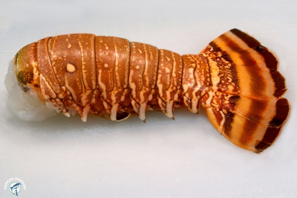 South African Cold Water Lobster Tail