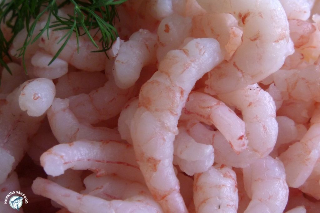 Broken Raw Wild-Caught Shrimp