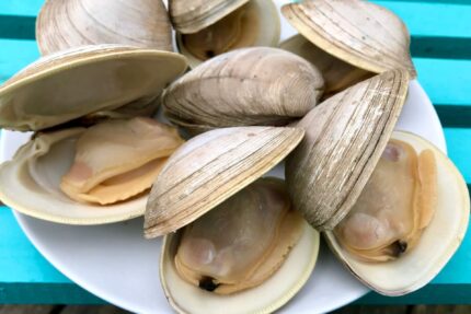 Fresh Whole Cherrystone Clams – 100 Ct. Bag