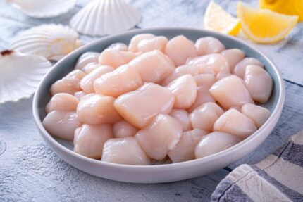 Fresh Dry Sea Scallops (10/20) 45 Lbs. Bag