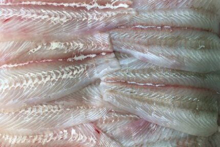 Fresh Fluke Fillets