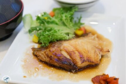 Fresh Bluefish Fillets