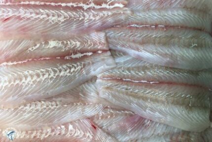 Fresh Fluke Fillets