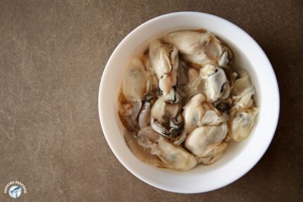 Fresh Shucked (Count) Oysters – 1 Gallon Tub