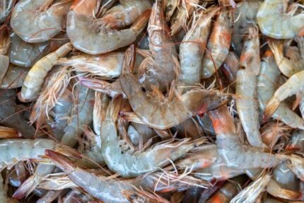 Frozen Raw – Head-On Fresh Water Shrimp – 2 Lbs. Bag