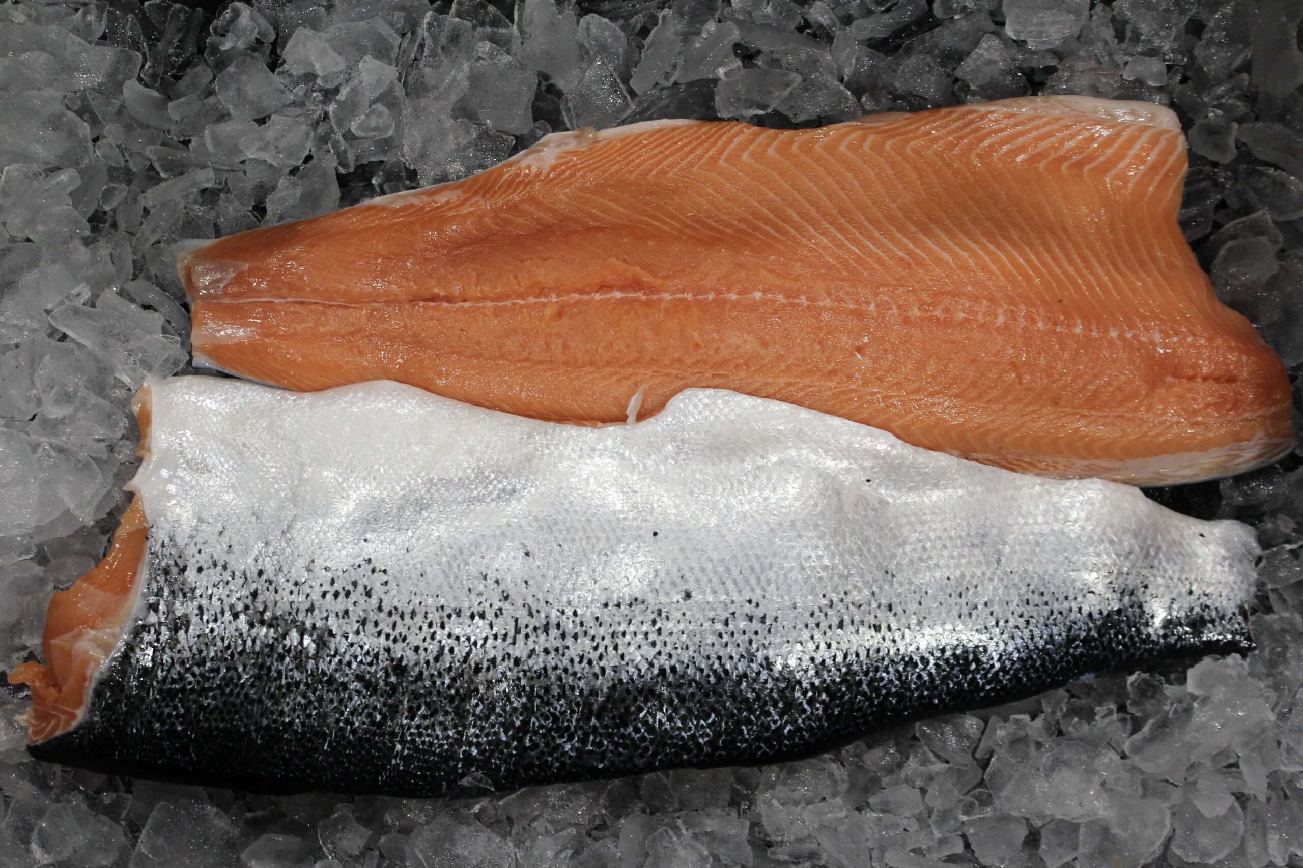 Fresh Atlantic Salmon Fillets