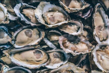 Fresh Long Island Oysters – 100 Ct. Bag – 1/2 Shell