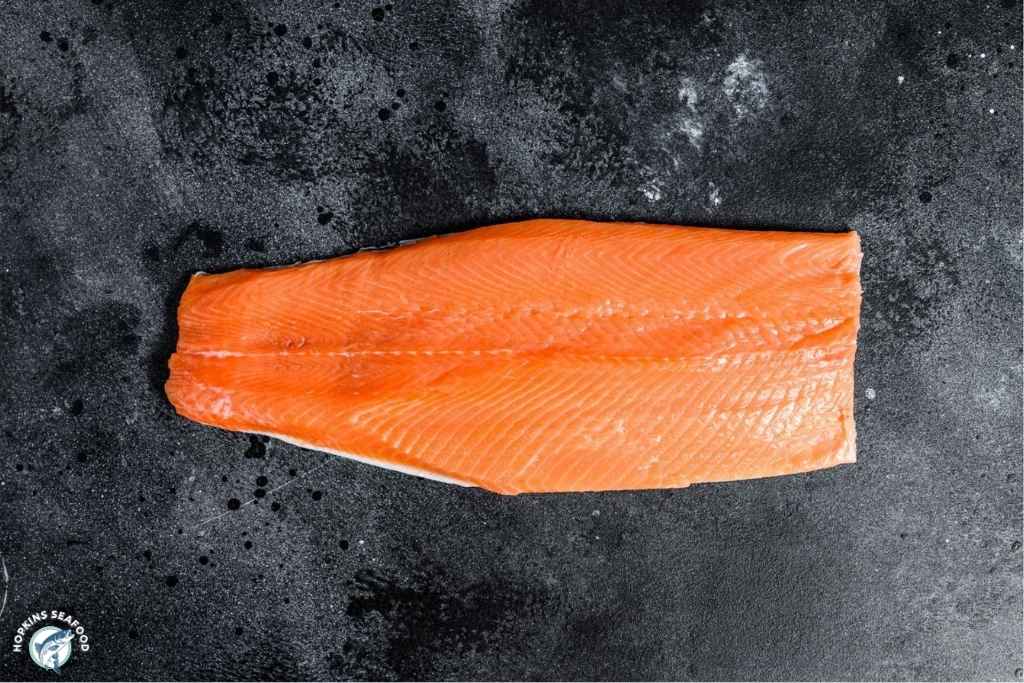 Ocean Trout Steelhead Fillets
