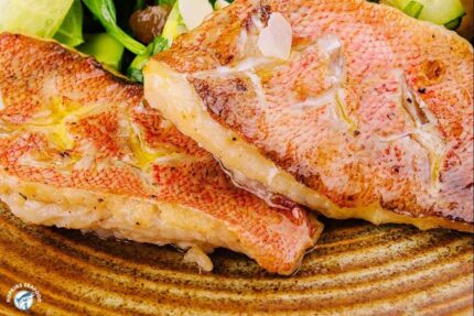 Fresh Red Snapper Fillets
