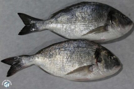 Fresh Whole Dorade (Sea Bream)