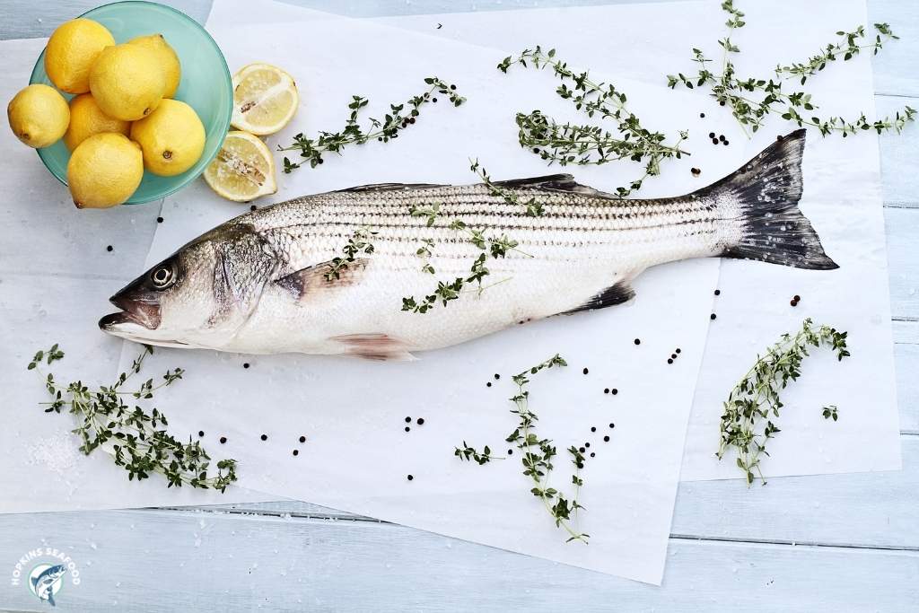 Fresh, Farm-Raised Rockfish (Striped Bass)