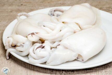 Frozen Whole Cuttlefish – 22 Lbs. Case