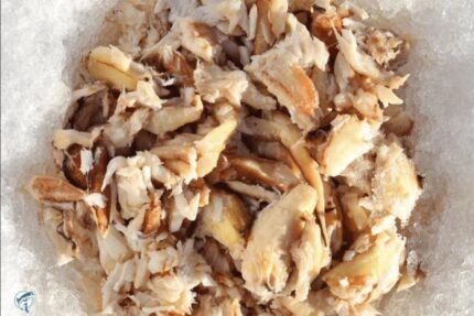 Pasteurized Indonesian Claw Crab Meat – 1 Lbs. Can