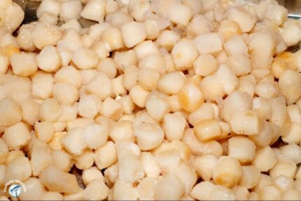 IQF Sea Scallop Chunks – 5 Lbs. Bag
