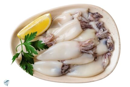 Frozen Whole Loligo Squid / Calamari (Large) – 22 Lbs. Case