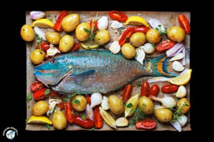 Frozen Whole Parrotfish – Scaled & Gutted (.5-.75 Lbs.) – 10 Lbs. Case