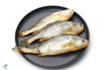 Fresh Whole Spot Croaker (~ .5 Lbs.)