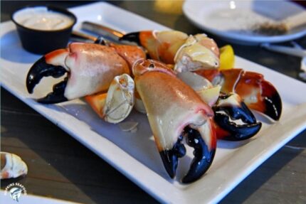 Fresh Florida Stone Crab Claws (Large 5/7) – 10 Lbs. Case