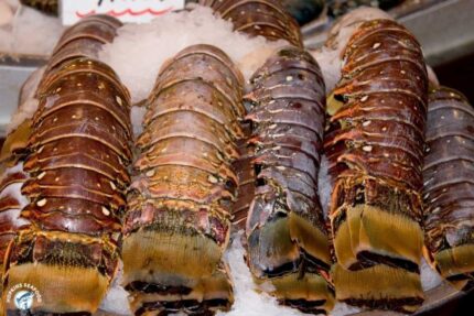 Frozen Belizean Lobster Tails – 10 Lbs. Case