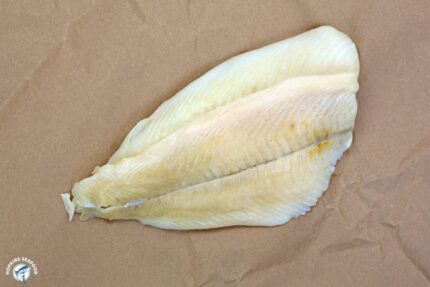 Fresh Sand Dab Fillets