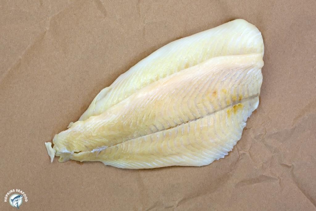 Flounder Dab Fillet